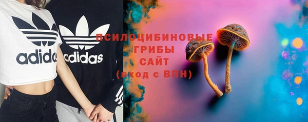 винт Богородицк
