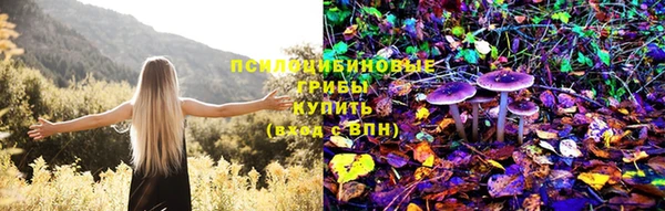 винт Богородицк